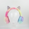 Ear protectors